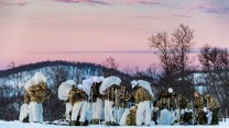 Soldiers In Snow In Norway, Exercise Clockwork