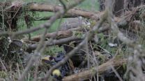 Soldier shows off his camouflage.  