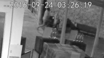 CCTV Image 8