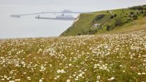 Dame Vera Lynn Down at the White Cliffs of Dover 17062021 CREDIT National Trust