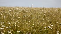 Dame Vera Lynn Down on the White Cliffs of Dover 17062021 CREDIT National Trust