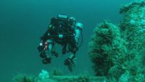 Devonport divers helped solve 100-year old WW1 U-boat mystery, discovering a German U-boat sunk off the Lizard peninsula in Cornwall (Picture: Royal Navy). Devonport divers help solve WW1 U-boat mystery, diver round the wreckage 21062021 CREDIT ROYAL NAVY .jpg