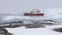 	HMS Protector holding position in Marguerite Bay near Horseshoe Island