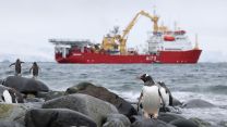 HMS Protector restock UK Antarctic Heritage Trust at Port Lockroy near nesting Gentoo penguins 25012022 CREDIT HMS Protector Twitter.jpeg