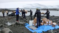 HMS Protector restocking Antarctic trust at Port Lockroy not disturbing nesting Gentoo penguins 25012022 CREDIT HMS Protector Twitter.jpeg