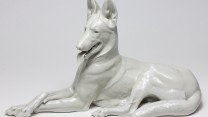 Hitler's Alsatian