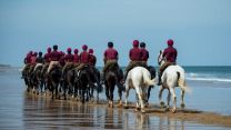 Household Cavalry on the beach in Norfolk - behind shot 050719 Credit MOD.jpg 