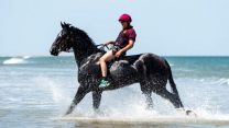 Household Cavalry on the beach in Norfolk 050719 Credit MOD