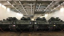 Estonia Vehicles Transported to Estonia