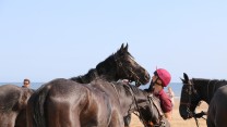 Household Cavalry Take Horses On Holiday