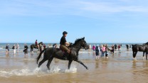 Household Cavalry Take Horses On Holiday
