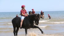 Household Cavalry Take Horses On Holiday