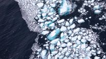 	Large amount of A68a iceberg is disintegrating into growlers and brash ice. DATE UNKNWON CREDIT BFSAI FACEBOOK.jpg