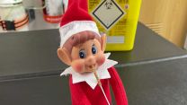 RFA Tiderace Elf on the shelf 2021 lateral flow test 02122021 CREDIT RFA Tiderace Twitter.jpeg.jpg