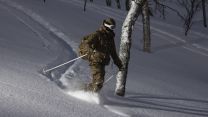 A marine skis through trees