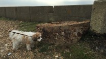 Dambusters Raid's Bouncing Bomb Found In Kent