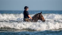 Soldiers and horses from The King's Troop Royal Horse Artillery exercise in the sea at Holkham in Norfolk 190919 CREDIT PA