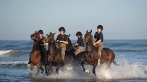 Soldiers and horses from The King's Troop Royal Horse Artillery exercise in the sea at Holkham in Norfolk