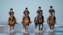 Soldiers and horses from The King's Troop Royal Horse Artillery exercise in the sea at Holkham in Norfolk