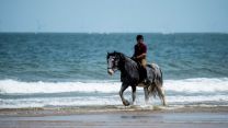 THE ARMY MOUNTS A CAVALRY CHARGE INTO THE NORFOLK OCEAN credit MOD 050719