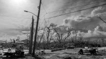 The 185mph hurricane winds ripped any areas of vegetation apart so they represent an impenetrable obstacle.