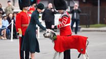The Duchess of Cambridge visiting the 1st Battalion Irish Guards, and their mascot, at the St. Patrick's Day Parade, Mons Barracks in Aldershot 
