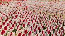 The Field of Remembrance, a memorial garden for those who lost their lives in service, was opened in the grounds of Westminster Abbey by the Duchess of Cornwall 111121 CREDIT MOD.jpg