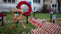 The Field of Remembrance memorial garden at Westminster Abbey