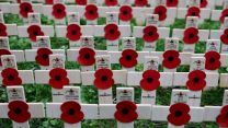 The Poppy Field of Remembrance 07112022 CREDIT Royal Navy MOD