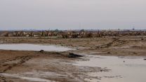 Thousands of tanks and vehicles remain at Camp Taji.