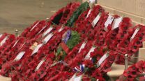 Wreaths laid at Belfast Cenotaph.