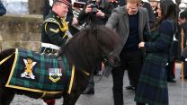 Corporal Cruachan IV