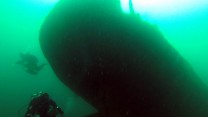 Divers at the stern of the 'Arfon' - 
Copyright Swanage Boat Charters Ltd