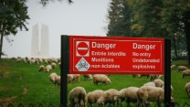 Vimy Ridge