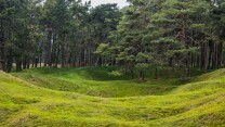Vimy Ridge