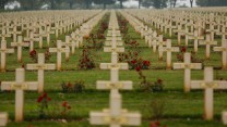 WW1 graves