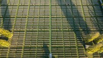 Aerial Pictures Reveal Landscape Still Scarred By WW1