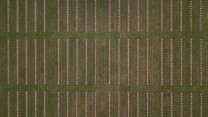 Aerial Pictures Reveal Landscape Still Scarred By WW1