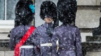 How The Military Have Responded To The Beast From The East 