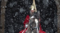 How The Military Have Responded To The Beast From The East 