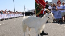 Armed Forces Day 2018 Llandudno Wales Parade Alex Griffiths