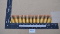 Ammunition recovered from a hide
