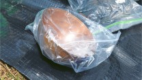 Copper bowl recovered by police