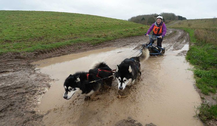 Potentially teams could cover a minimum of 60 miles over the two days Potentially teams could cover a minimum of 60 miles over the two days