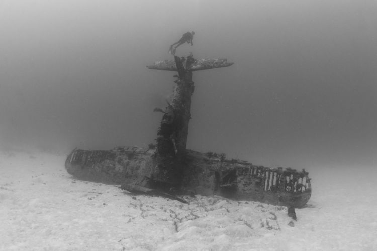 Hands To Bathe - Extreme Swimming On Board Ship
