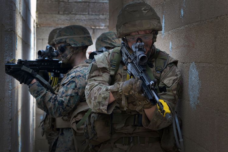 45 Commando Steal The Stage On Exercise Blue Raptor 