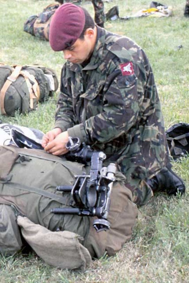 Pegasus Badge To Define Airborne Forces 