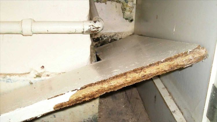 Squaddies Say They've Had Enough Of Squalid Housing