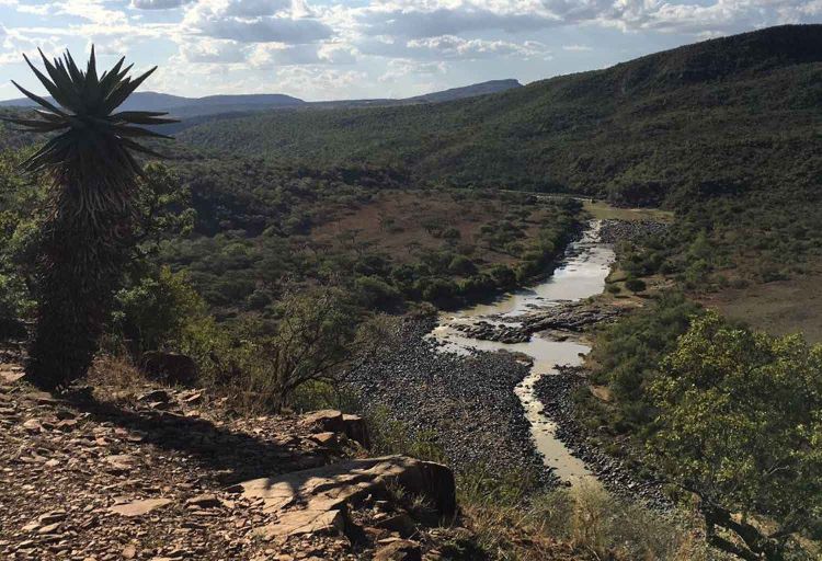 Dozens died after fleeing into the Buffalo River Dozens died after fleeing into the Buffalo River