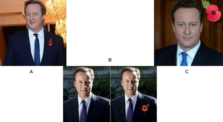 Cameron Falls Foul Of (Another) Photoshop Blunder 